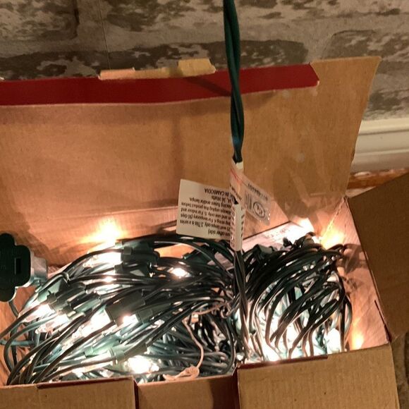 WonderShop indoor/outdoor clear net lights. 150 lights 4’X6’ - Picture 6 of 7